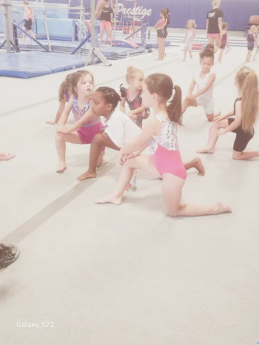 Prestige Gymnastics Picture 4