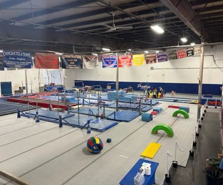 Prestige Gymnastics