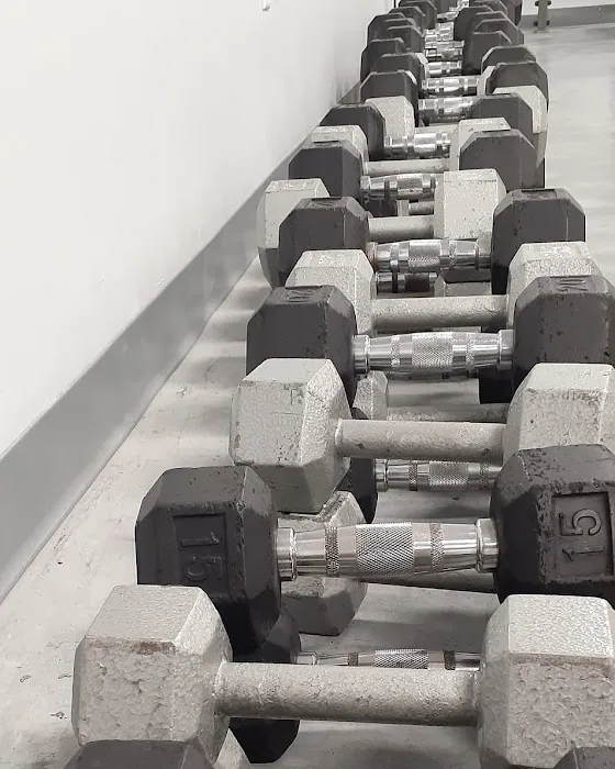 BC Fitness Picture 9