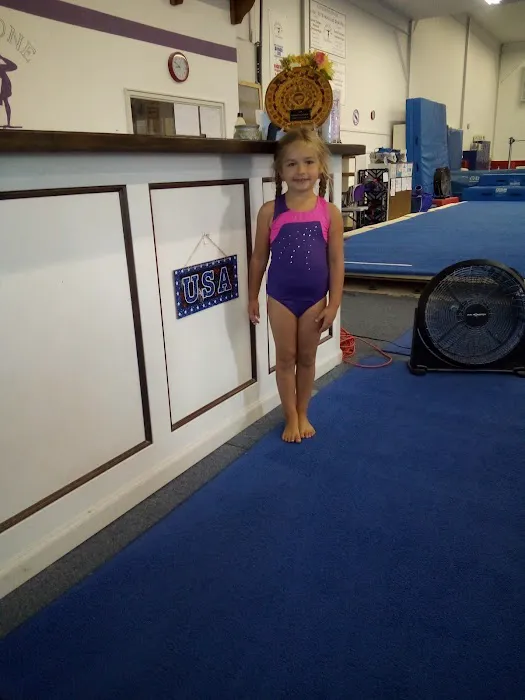 Stallone Gymnastics Picture 2