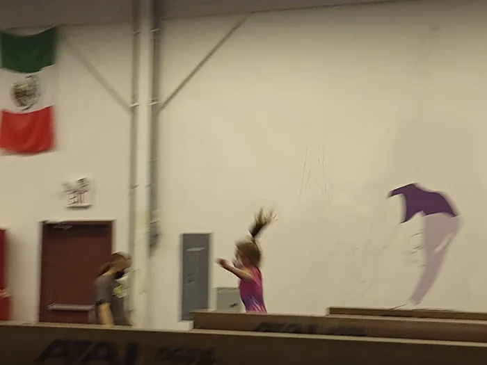 Stallone Gymnastics Picture 1