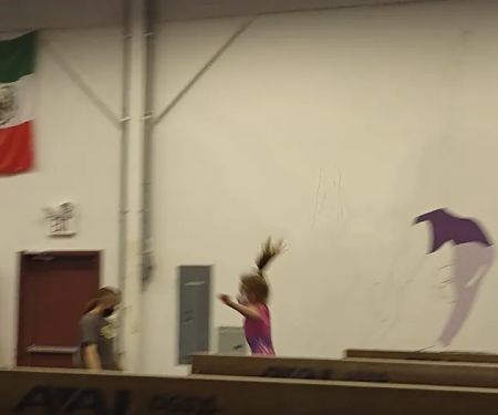 Stallone Gymnastics