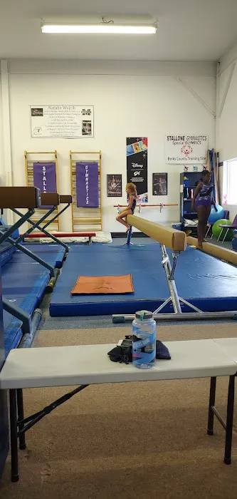 Stallone Gymnastics Picture 4