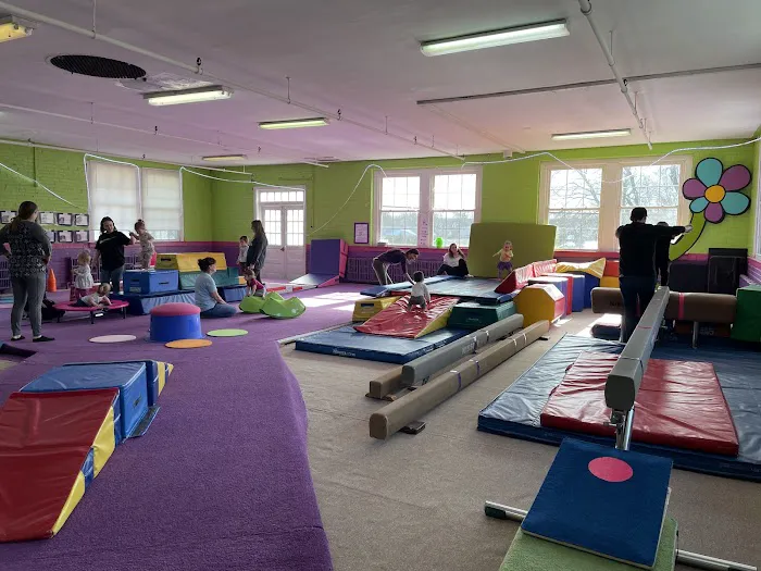 Boing Gymnastics Center Picture 2