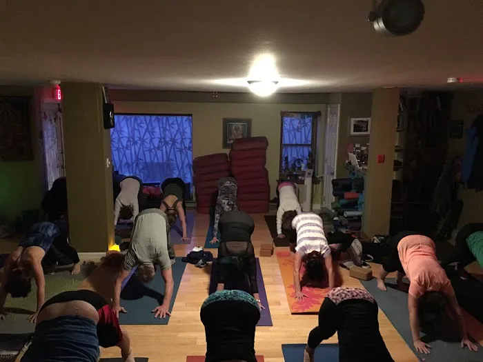 Shine Yoga Center Picture 4