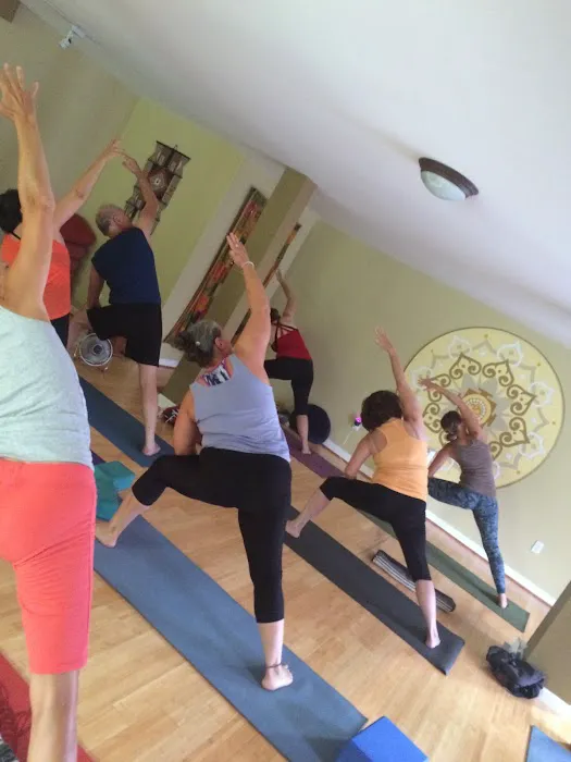 Shine Yoga Center Picture 9