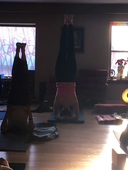 Shine Yoga Center Picture 5
