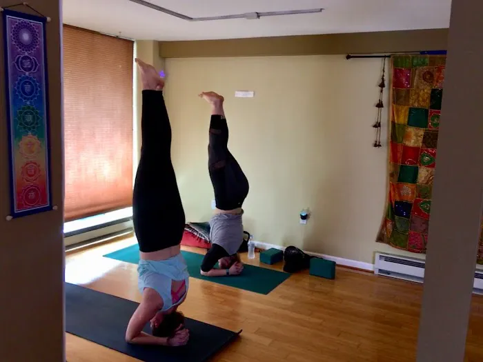 Shine Yoga Center Picture 6