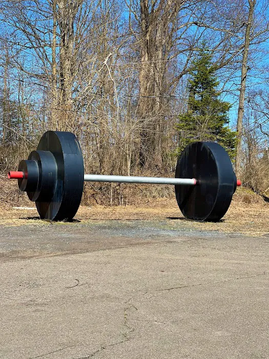 Metal Health Gym & Fitness Picture 10