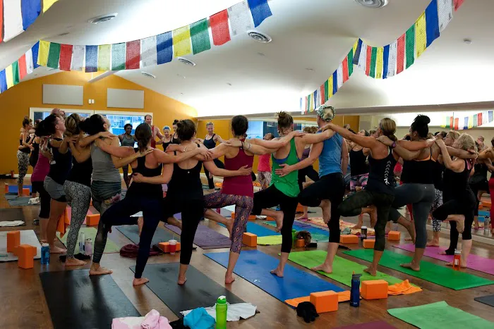 SHINE Power Yoga Medford Picture 1