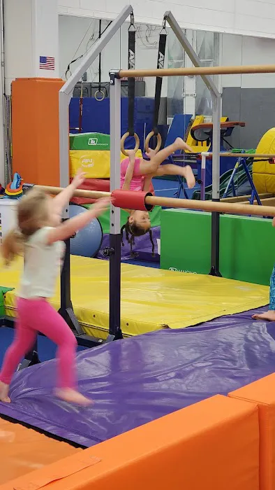 Pinelands Gymnastics Academy LLC Picture 2