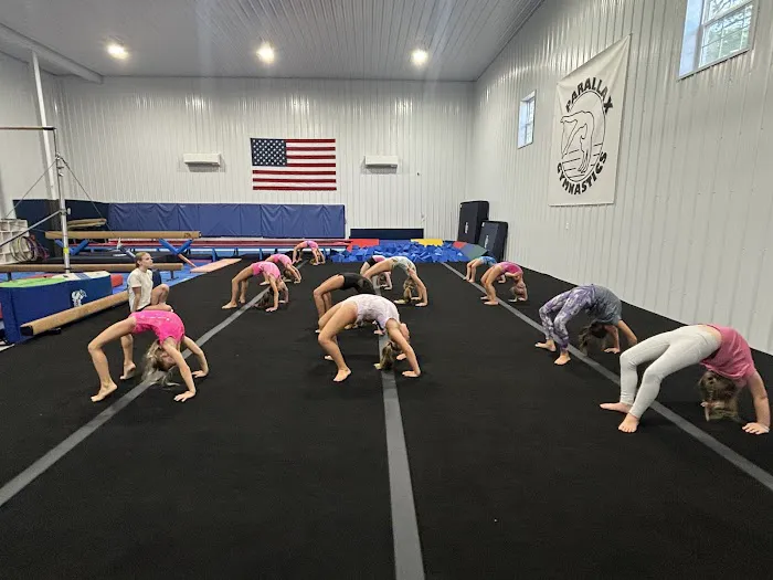 Parallax Gymnastics Picture 2