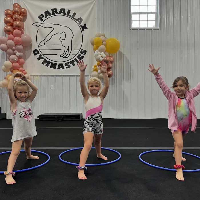 Parallax Gymnastics Picture 6