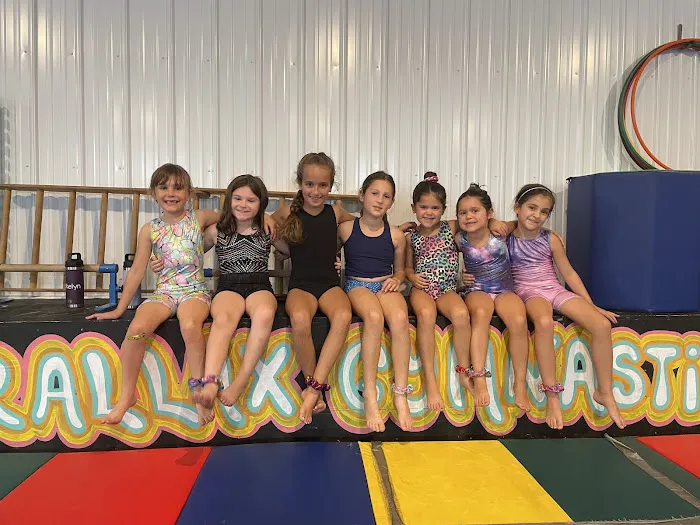 Parallax Gymnastics Picture 10
