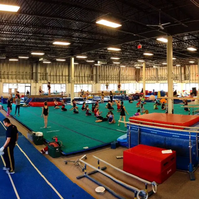 Will-Moor Gymnastics Picture 9