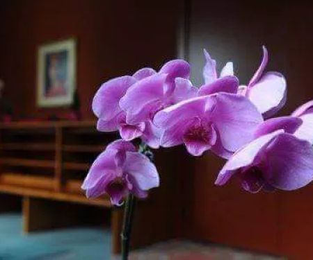 Siddha Yoga Meditation Center In Philadelphia
