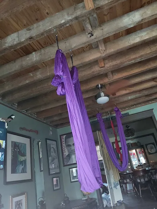 Relax and Hang Aerial Yoga Studio Picture 5
