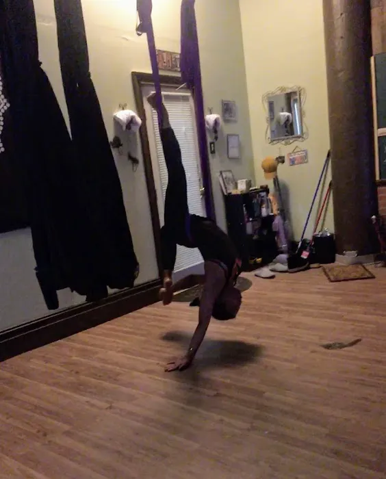 Relax and Hang Aerial Yoga Studio Picture 6