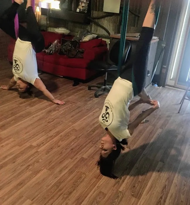 Relax and Hang Aerial Yoga Studio Picture 7