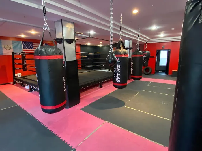 2K Lab Boxing & Fitness Picture 6