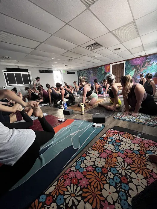 Wild & Free Power Yoga - Elizabethtown Picture 4