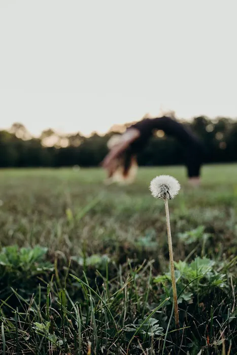 Wild & Free Power Yoga - Elizabethtown Picture 2