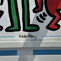 Keith Haring Fitness Court at Kutztown University ico