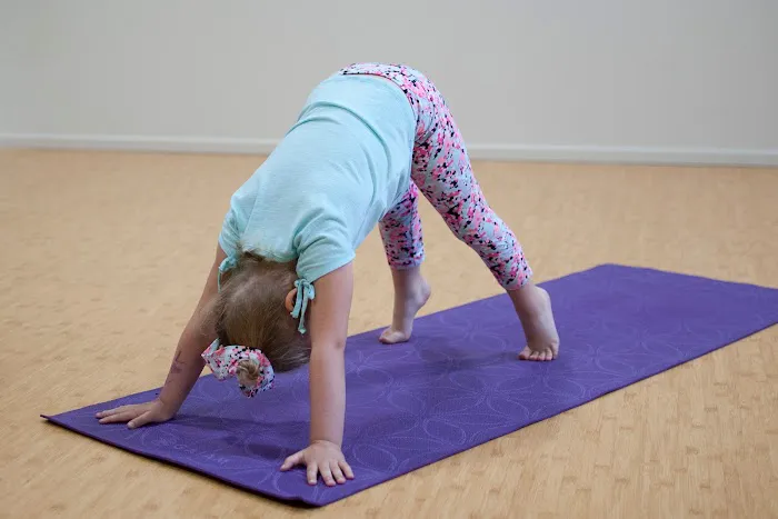 Moondog Yoga Studio Inc. Picture 9