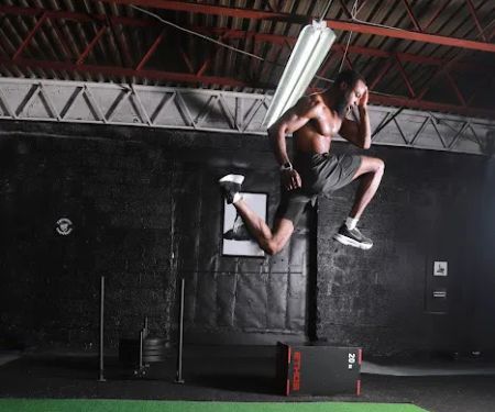 Triumfit University