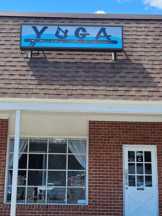 Yoga on the Delaware Picture 4