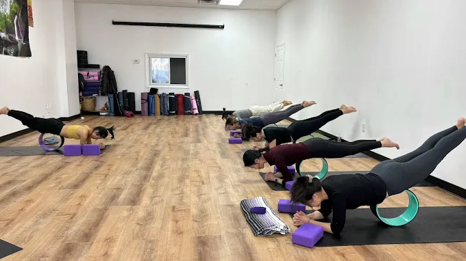 Hatta Yoga 玉雨瑜伽普拉提 Picture 9