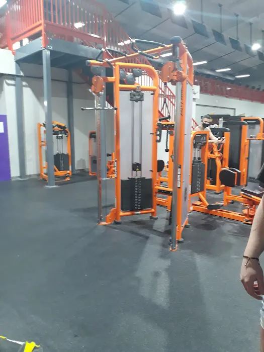 Giant Fitness Picture 4