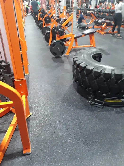 Giant Fitness Picture 9