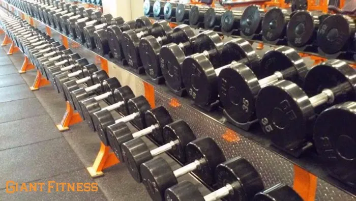Giant Fitness Picture 10