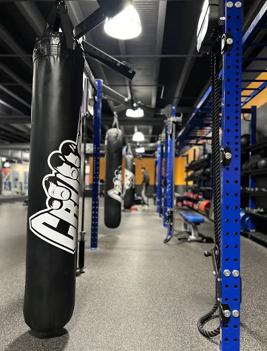 Crunch Fitness - Roosevelt Picture 9