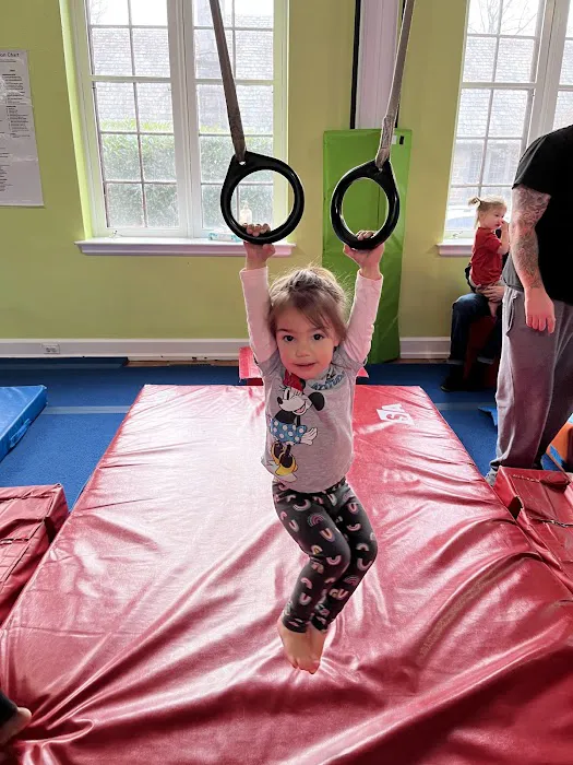 The Little Gym of Abington Picture 5