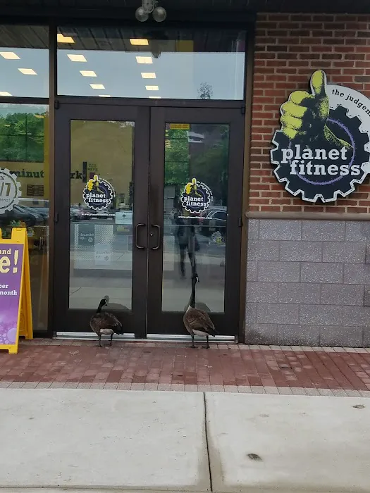 Planet Fitness Picture 8