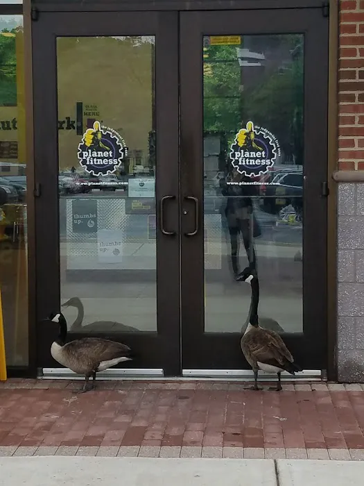 Planet Fitness Picture 2