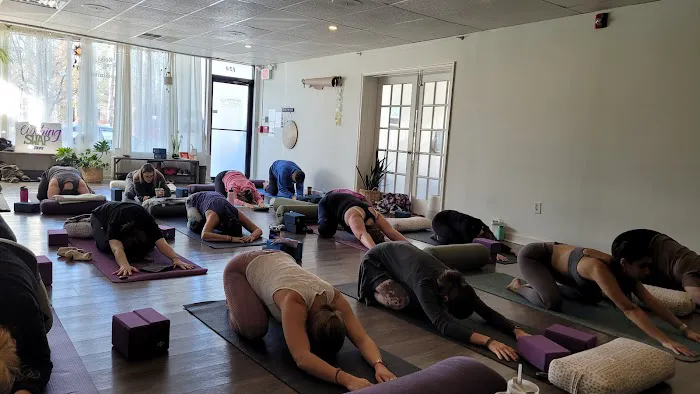 Nourishing Storm Yoga Studio Picture 4