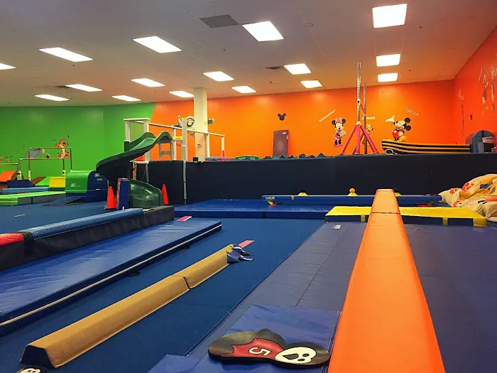 Ricochets Gymnastics Picture 4
