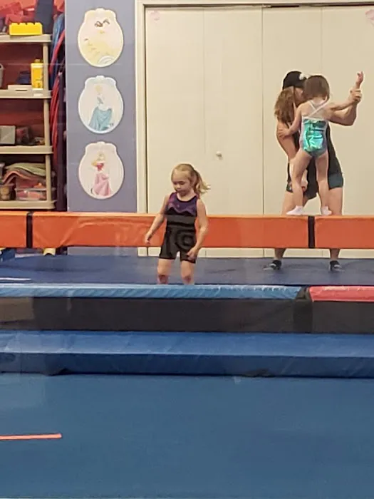 Ricochets Gymnastics Picture 7