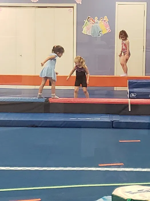 Ricochets Gymnastics Picture 1