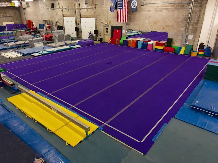 The Gravity Forge Gymnastics and Ninja Warrior Training Center Picture 8