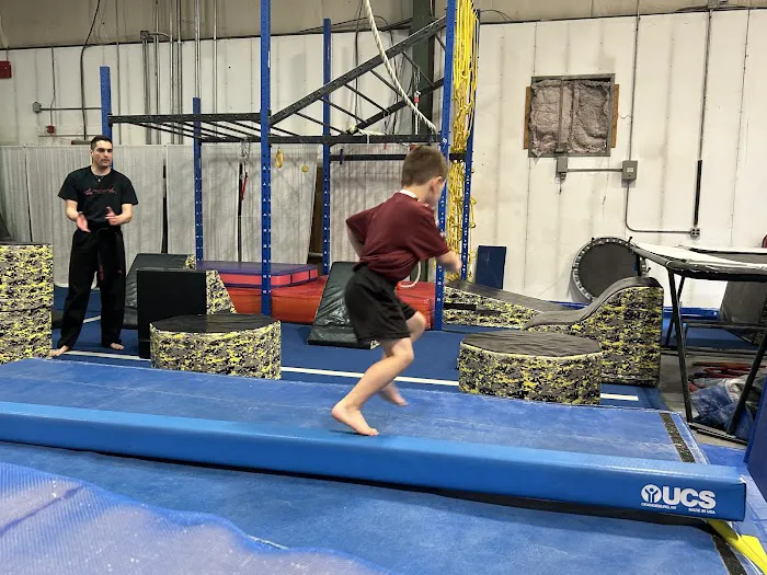Precision Gymnastics Picture 2