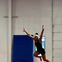 Precision Gymnastics ico