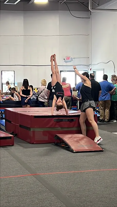 Precision Gymnastics Picture 7