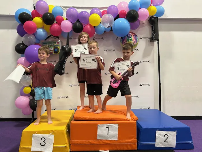 Precision Gymnastics Picture 5