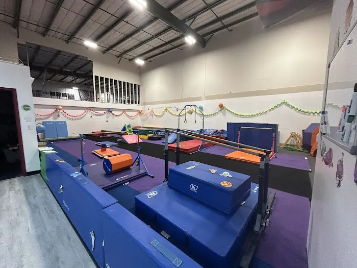 Precision Gymnastics Picture 9