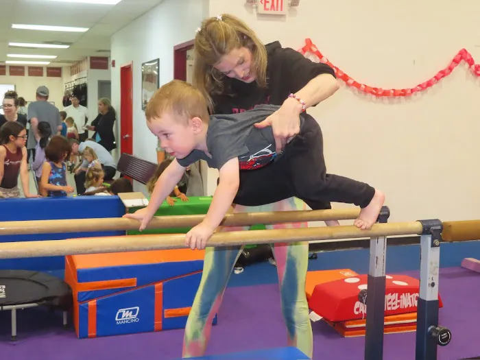 Precision Gymnastics Picture 6