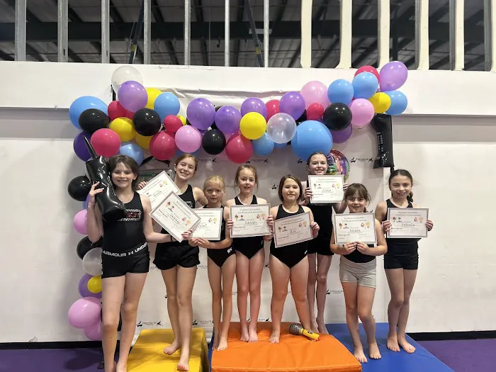 Precision Gymnastics Picture 4